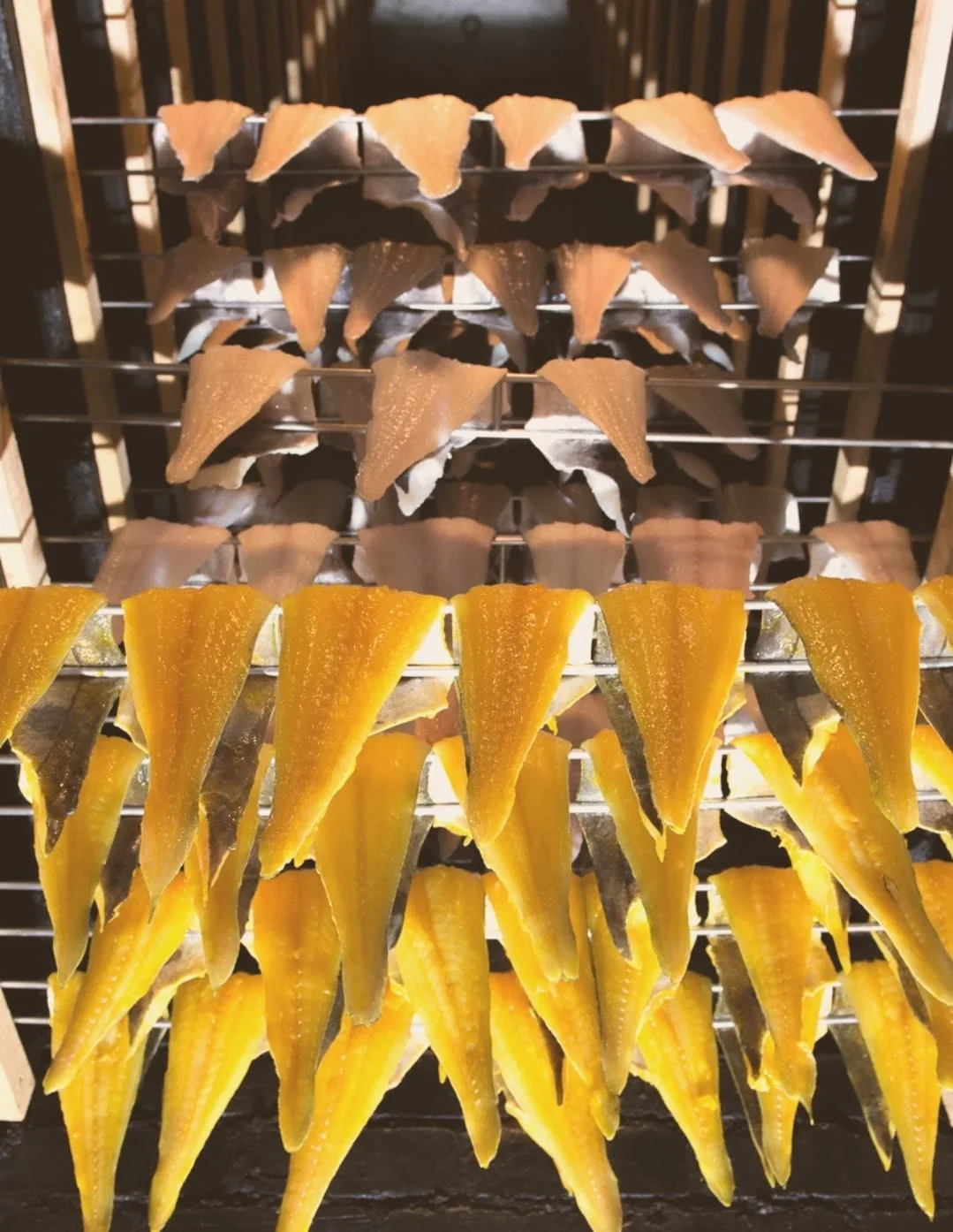 Catch All Launches to Provide Comprehensive Contracting Services to Grimsby’s Seafood Industry